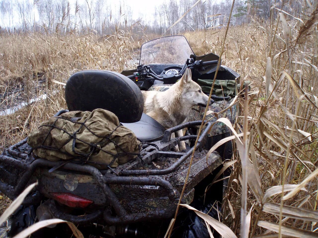 Игра hunting unlimited 2011. Ездить на охоту. Машина для охоты. Охота на квадриках. Охота на уток.
