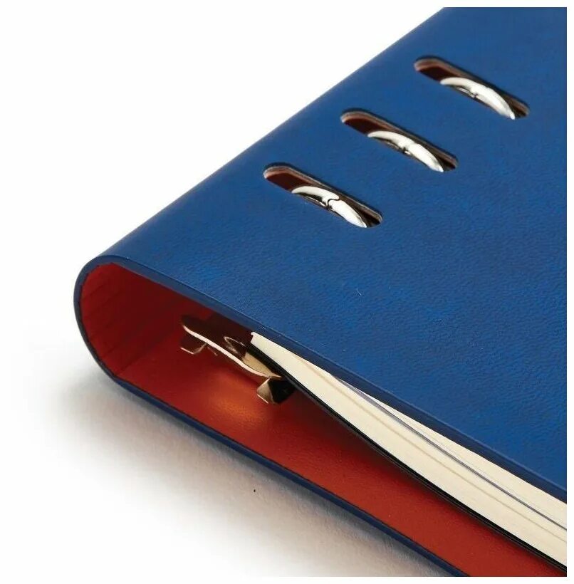 Ежедневник bruno visconti недатированный а5. Ежедневник bruno visconti. Ежедневник недатированный bruno visconti leggenda. Ежедневник bruno visconti. Ежедневник bruno visconti firenze.