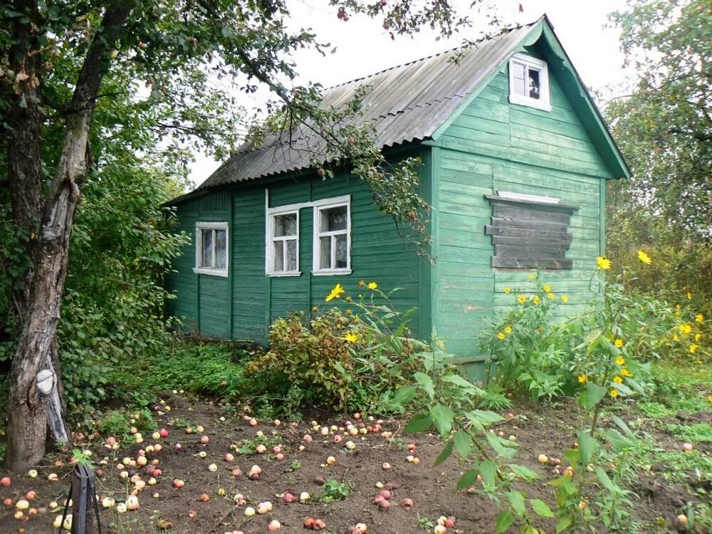 СНТ Смородинка Кимры. Дачи. Дачный домик в садоводстве. Дачные домик в садоводсве. Дешевые сотки