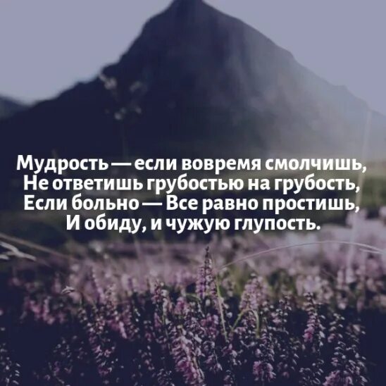 Мудрость если вовремя смолчишь не ответишь грубостью на грубость. Мудрость если вовремя смолчишь не. Мудрость это вовремя смолчать. Мудрость про грубость. Грубость не делает чести никому