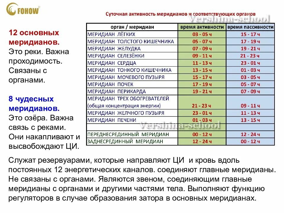 Активность органов по часам. Часы активности меридианов человека. Меридианы органов человека. Меридианы человека схема активности. Периоды активности меридианов человека.