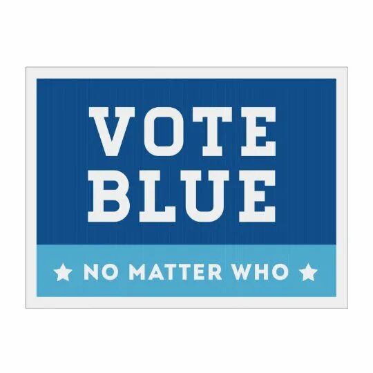 Who matter. Vote blue. vote blue no matter who. vote перевод. vote blue no matter who значение.