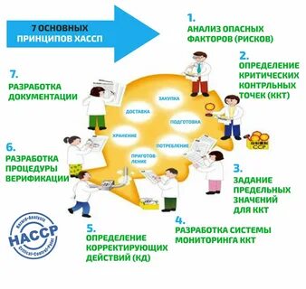 Пищевые продукты и пищевая система