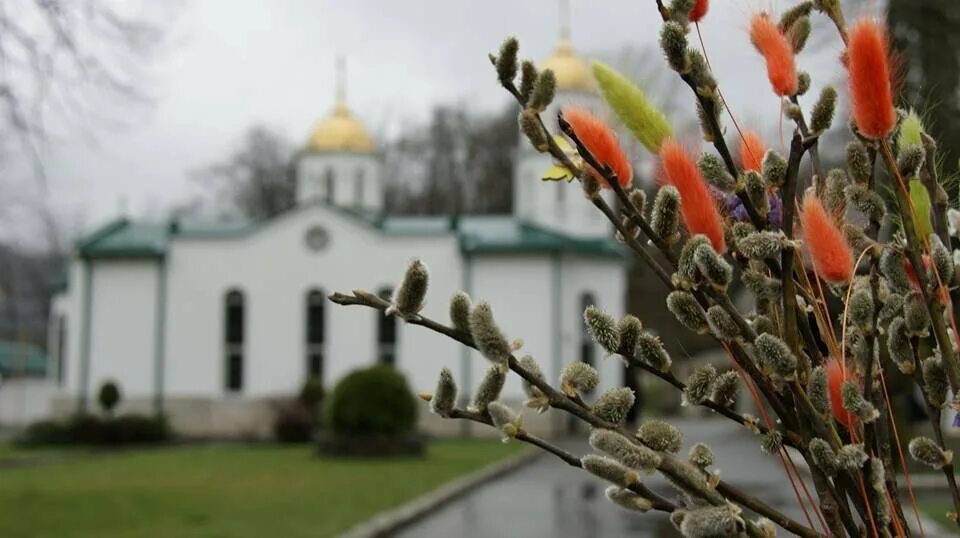 Куда старые вербы. Вербное воскресенье в церкви. С Вербным воскресеньем. Верба освященная Вербное воскресенье. Пасха Верба.