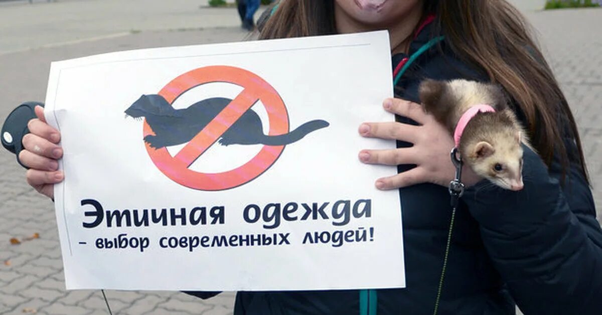 Защита животных. Против шуб из животных. Слоган животное