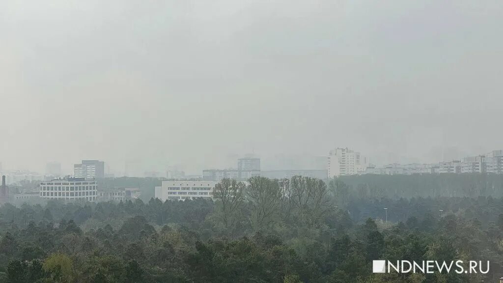 Что такое смог в погоде летом. Смог екб. смог на урале. что такое смог в погоде. смог в екатеринбурге сегодня.