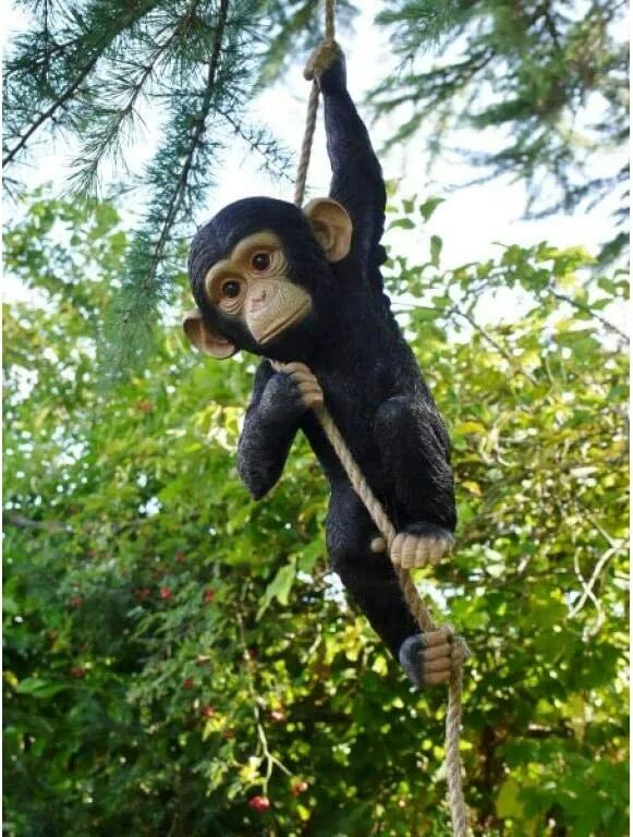 Monkey climb
