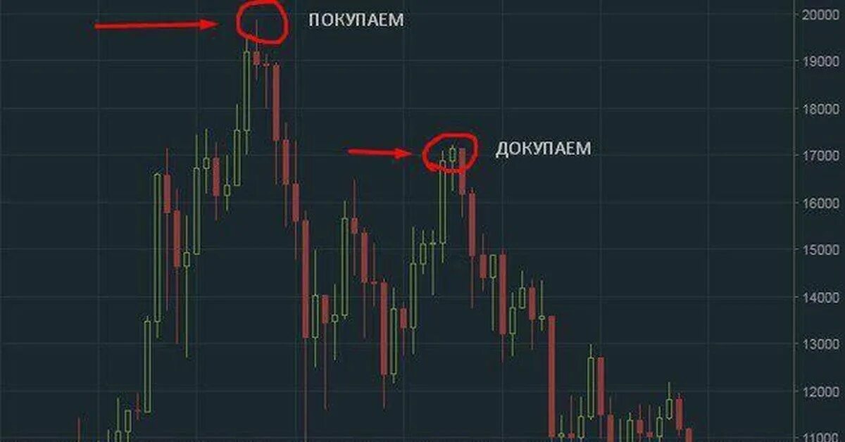 Курс blum крипта