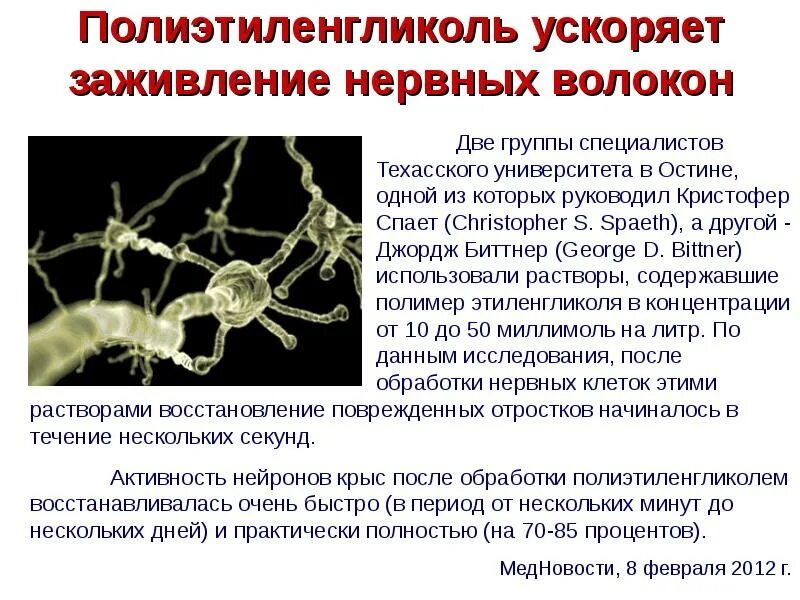 Восстановление нервов после операции. Препараты для восстановления нервных волокон. Таблетки для восстановления нервных волокон. Восстановление нервных клеток препараты. Препарата на основе полиэтиленгликоля.