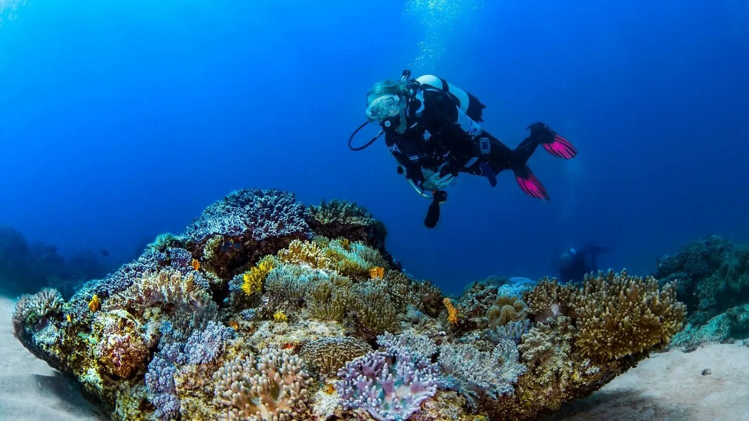 Sea dive. Эгейское море дайвинг. Маршалловы острова дайвинг. Гавайи дайвинг. Карибское море дайвинг.