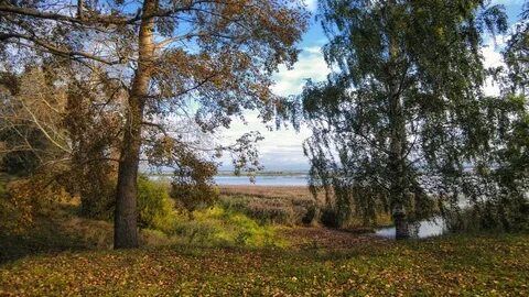 Погода в весьегонске на 14 дней