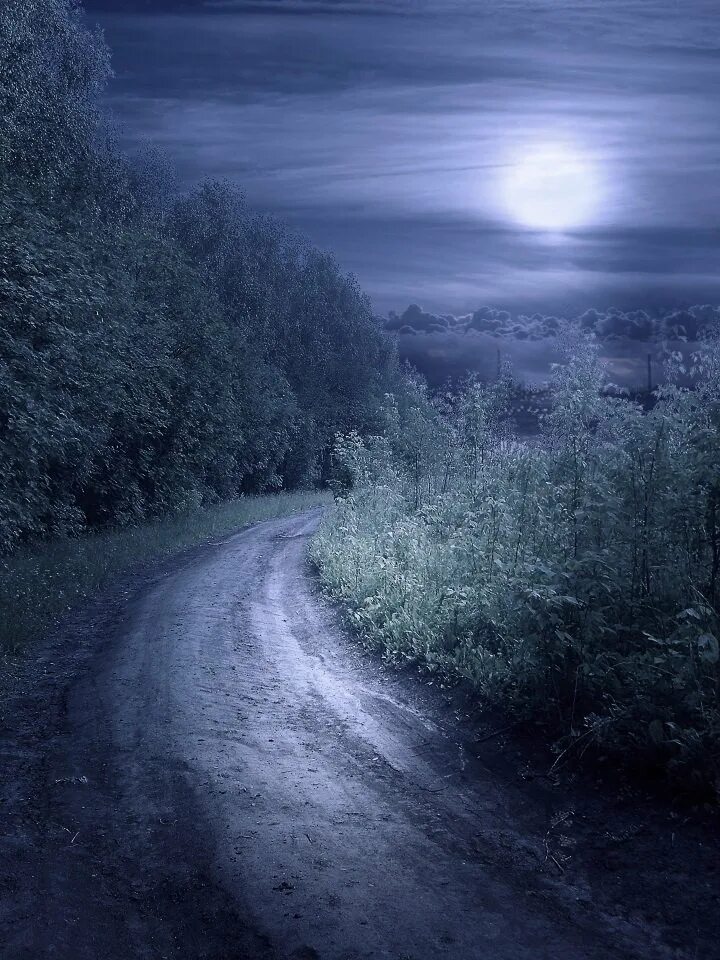Ночной пейзаж. Мистические пейзажи. Ночной лес. Дорога ночью.