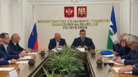 Сайт мсх кбр