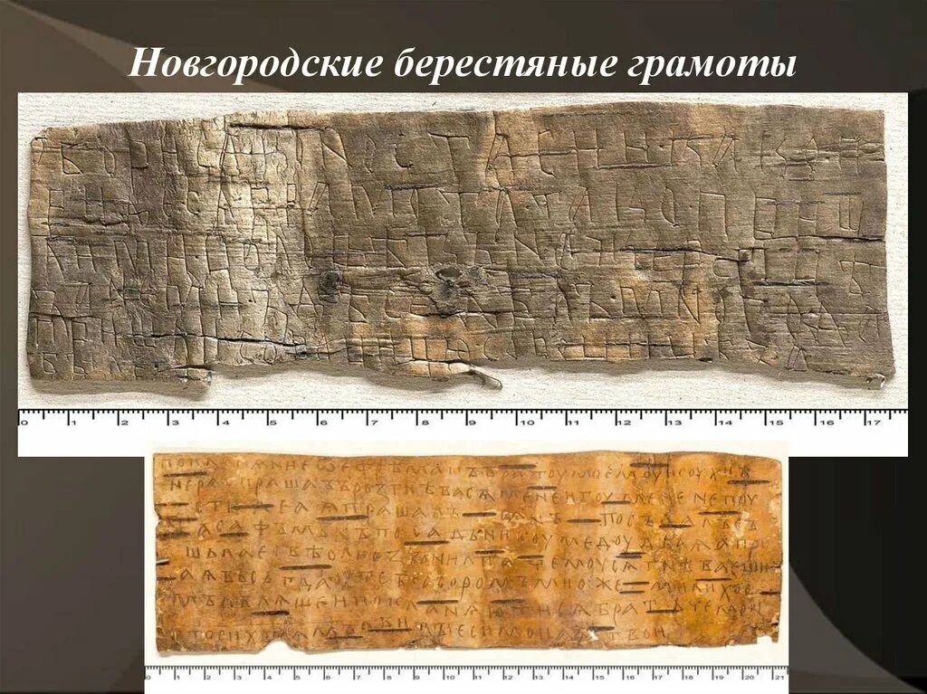 Кем написаны берестяные грамоты. Новгородские берестяные грамоты 11-15 веков. берестяные грамоты онфима. новгородские грамоты какой век. усадьба новгородского художника олисея гречина.