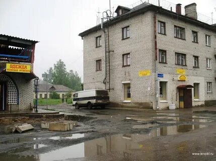 Погода мга ленинградская область на 3 дня