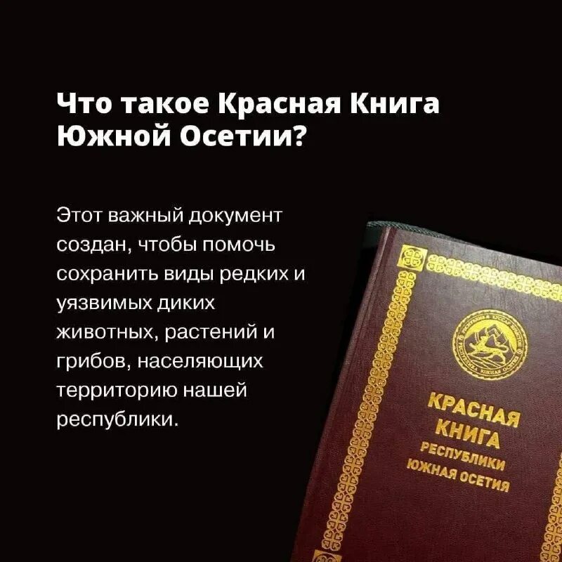 Чъребайы хъаергаенаег. Концерты на передовой в донбассе 2023. Чъребайы хъаергаенаег. Чъребайы хъаергаенаег. Большой боляш озеро лечение.