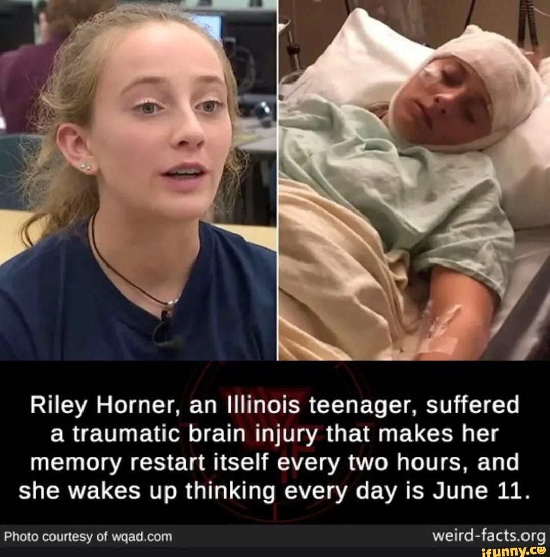 Memory reboot 1 hour. Memory reboot 1 hour