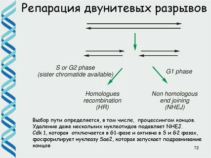 Требовать репараций