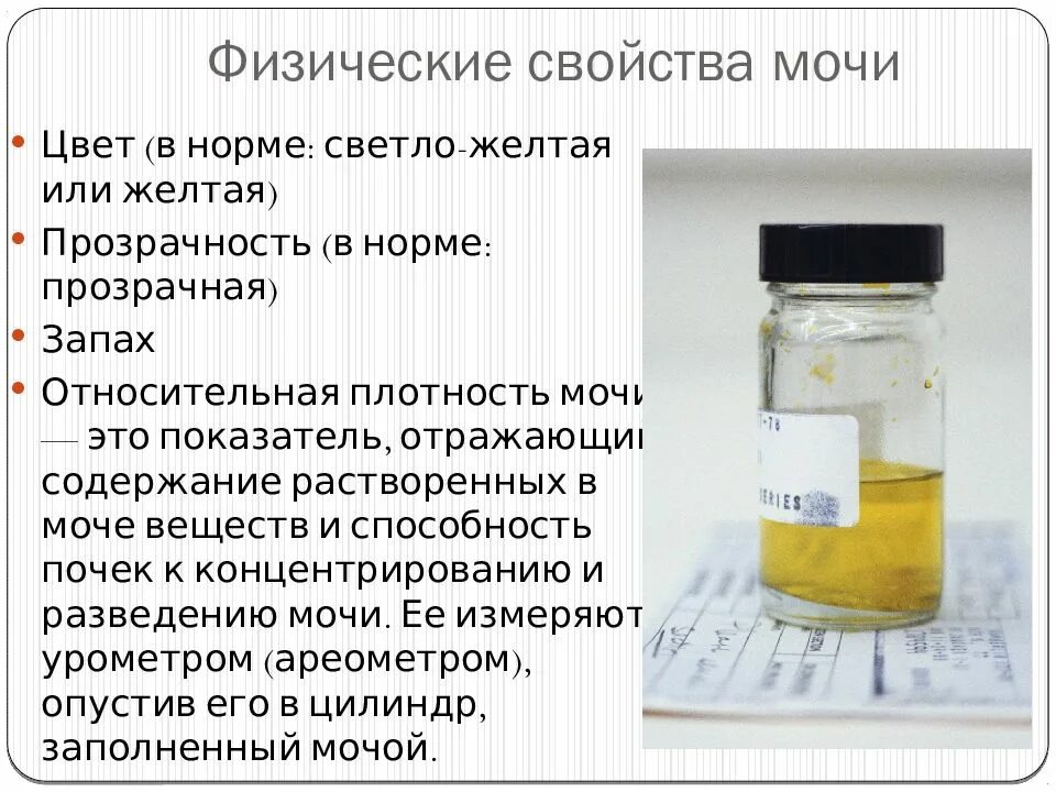 Физические свойства мочи. Цвет и прозрачность мочи в норме. Свойства мочи. Физическое исследование мочи.