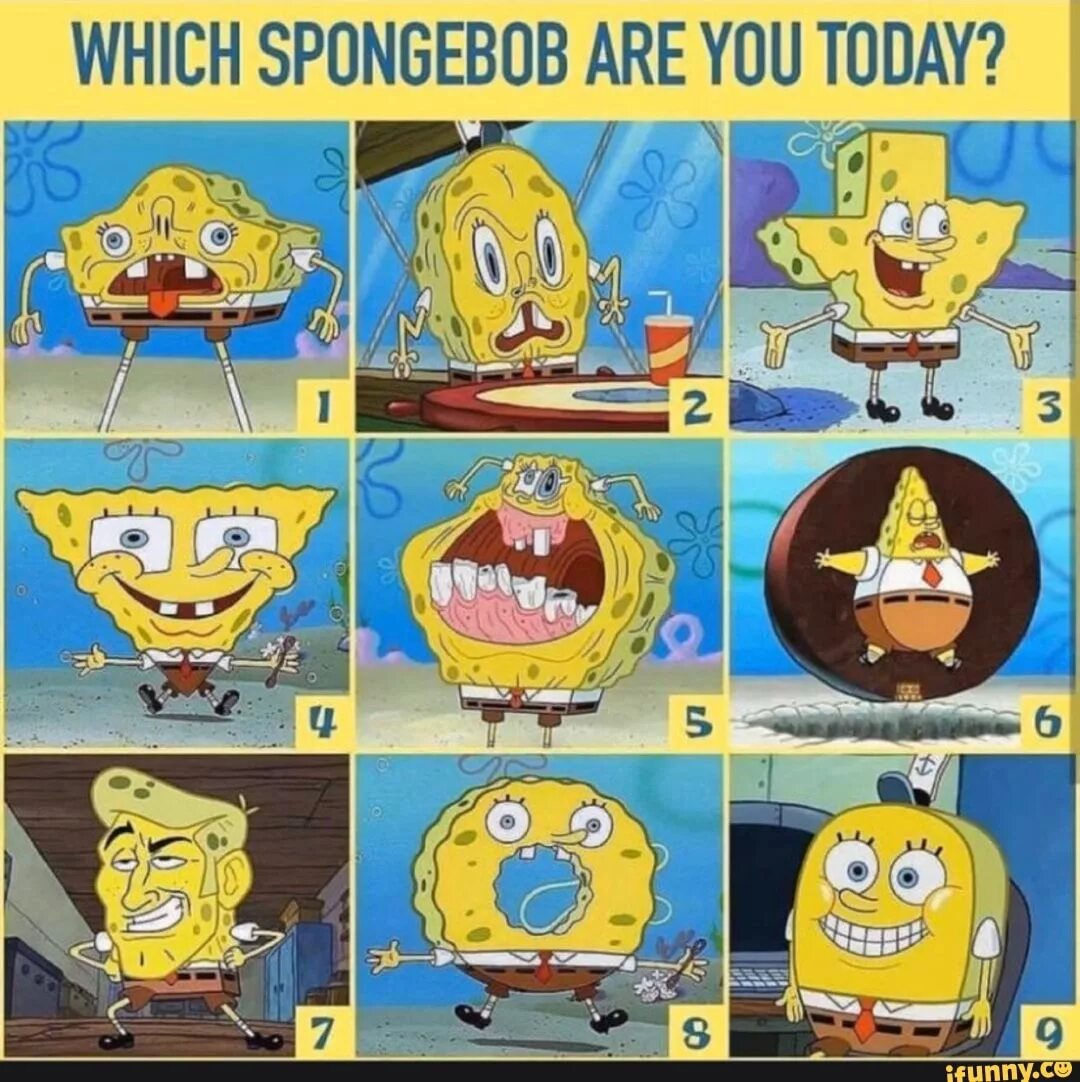 Which Spongebob are you today. Spongebob how are you today. Which Spounge Bob. How are you Sponge Bob.