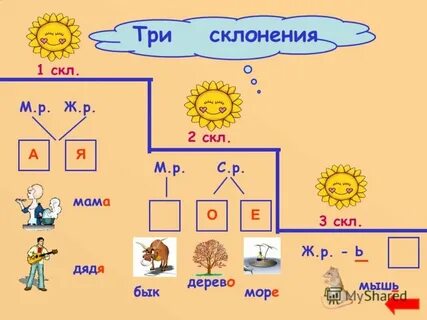 Дерево какое склонение существительного