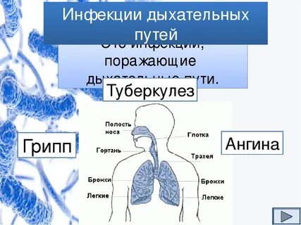 Инфекция дыхательной системы