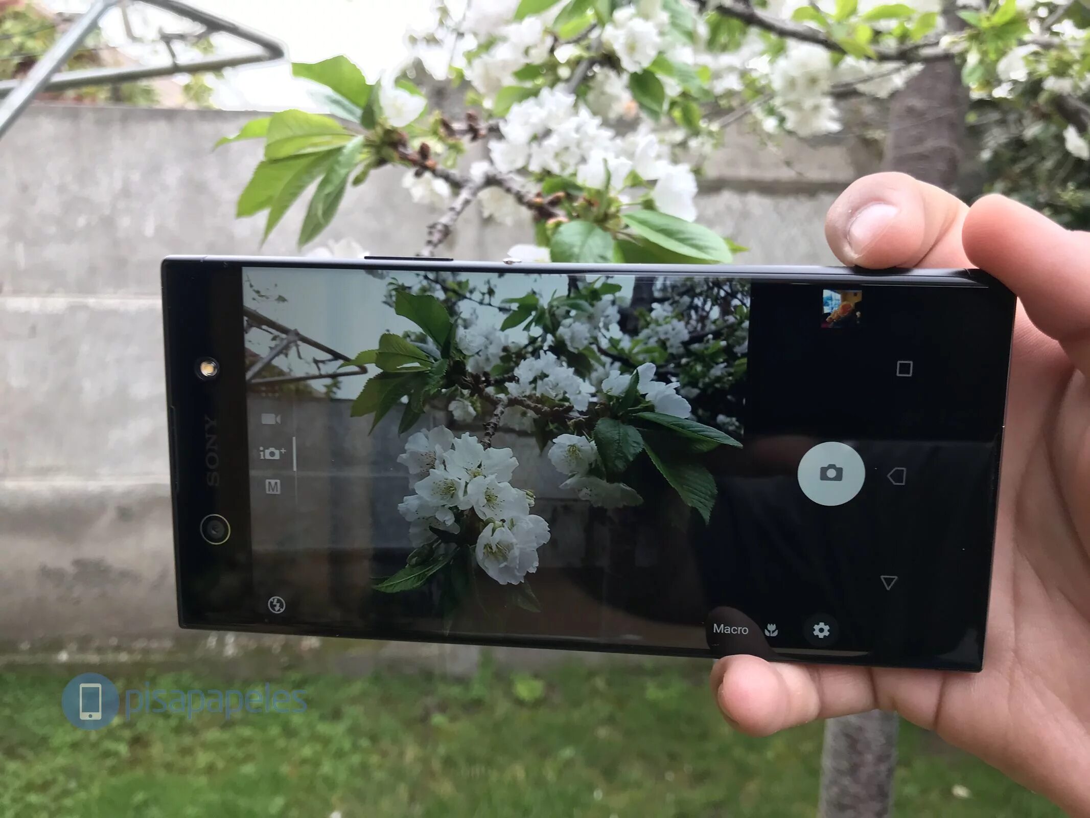 Sony xa1 ultra. Xa1 Ultra. Sony Xperia xa1 Plus screenshot. Xa1-311024. Sony Xperia xa1 Ultra фото с камеры.