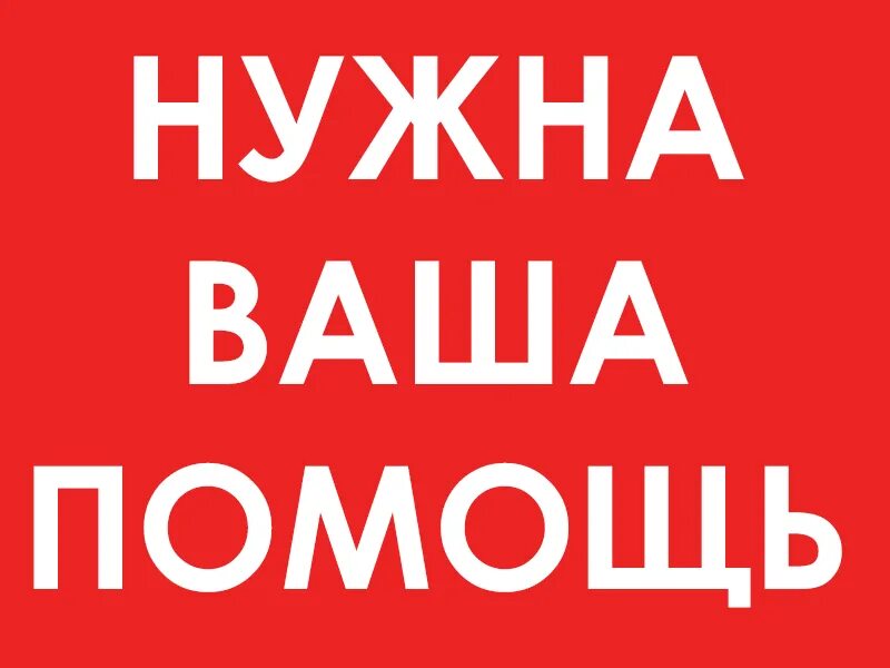 Нужна помощь. Нужна помощь добровольцев. Внимание сбор. Внимание сбор помощи. Нужна помощь волонтеров