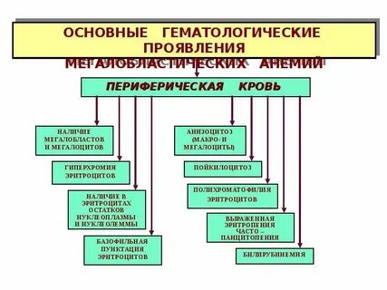 Патология патофизиология