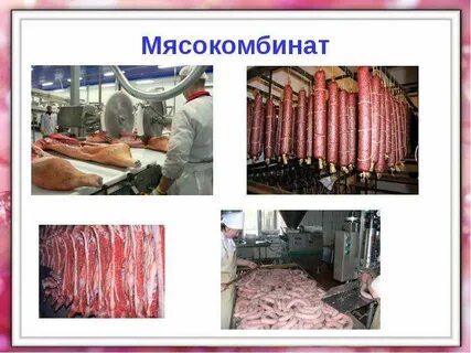 Мясная отрасль пищевой промышленности