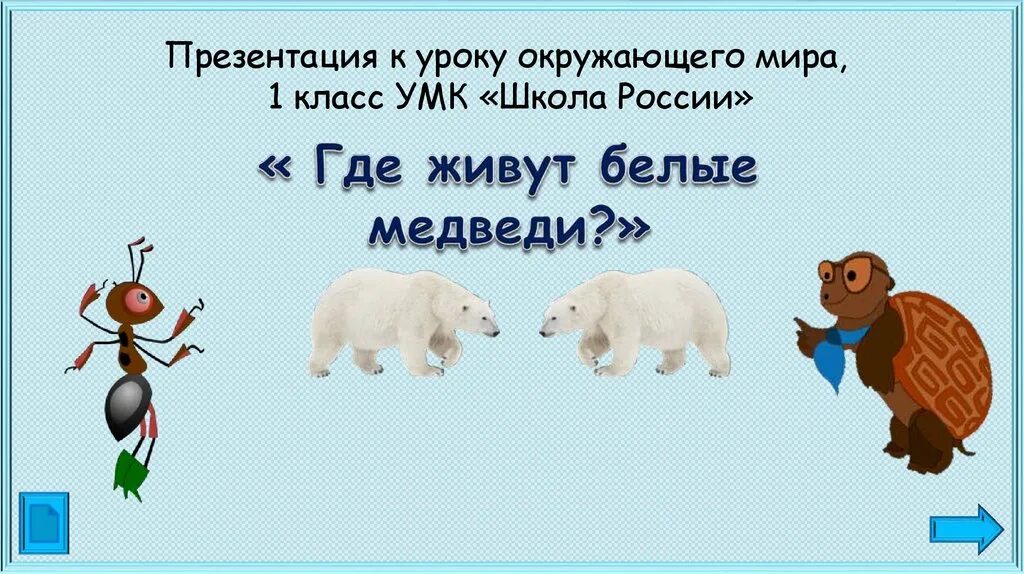 Видео где живут белые медведи 1 класс. Где живут белые медведи 1 класс окружающий мир. Окружающий мир где живут белые медведи. Живут белые медведи окружающий мир. Белый медведь окружающий мир 1 класс.