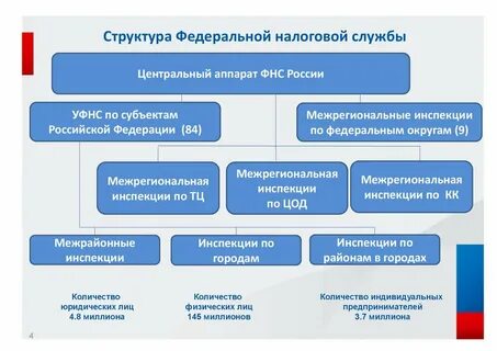 Вид документа фнс