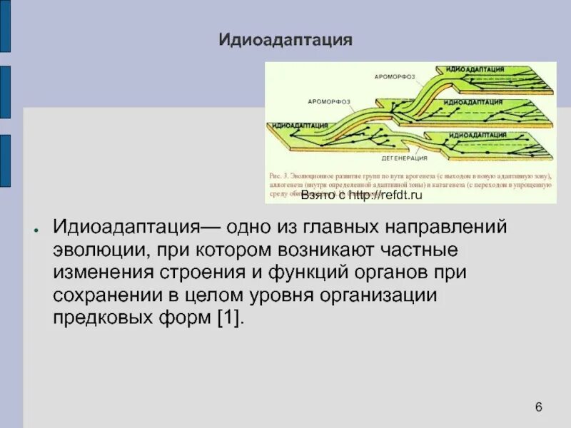 Примером ароморфоза является развитие