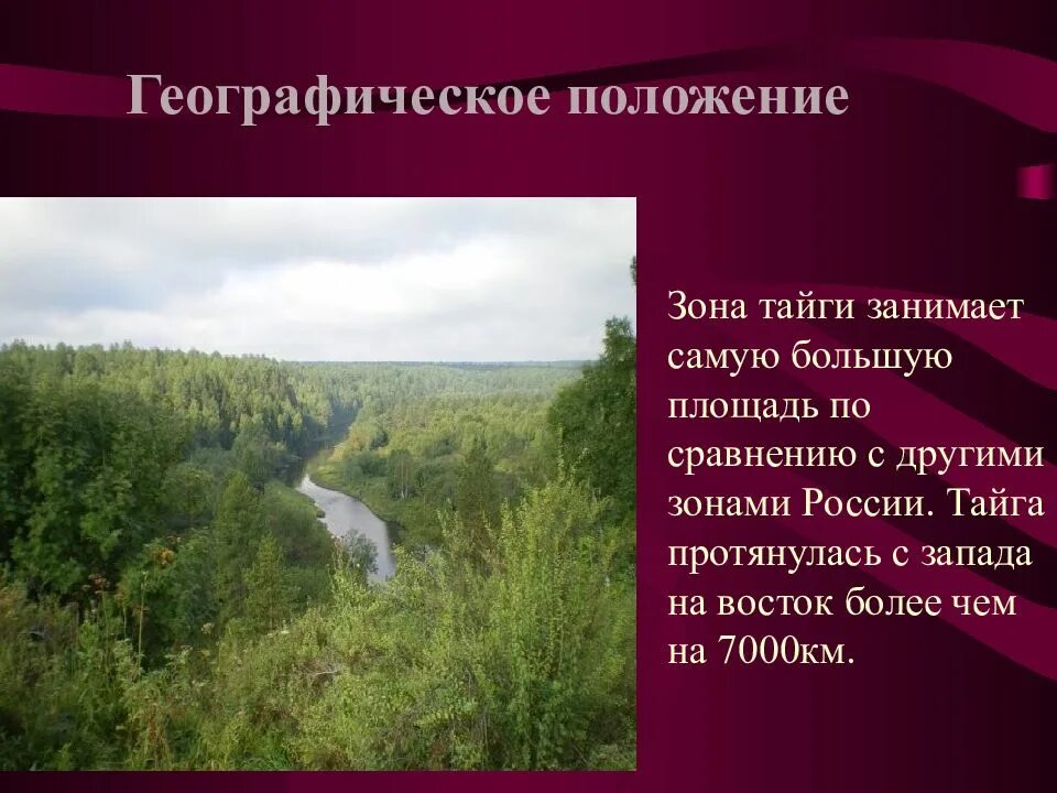 Самую большую территорию зоны лесов