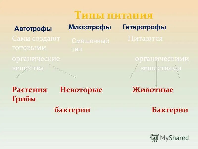 Автотрофный и гетеротрофный Тип питания. Автотрофный Тип питания и гетеротрофный Тип питания. Типы питания автотрофы и гетеротрофы. Автотрофный Тип питания гетеротрофный Тип.