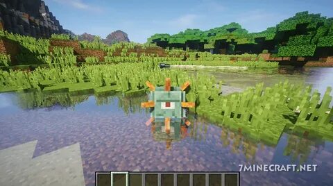 Metamorph mod