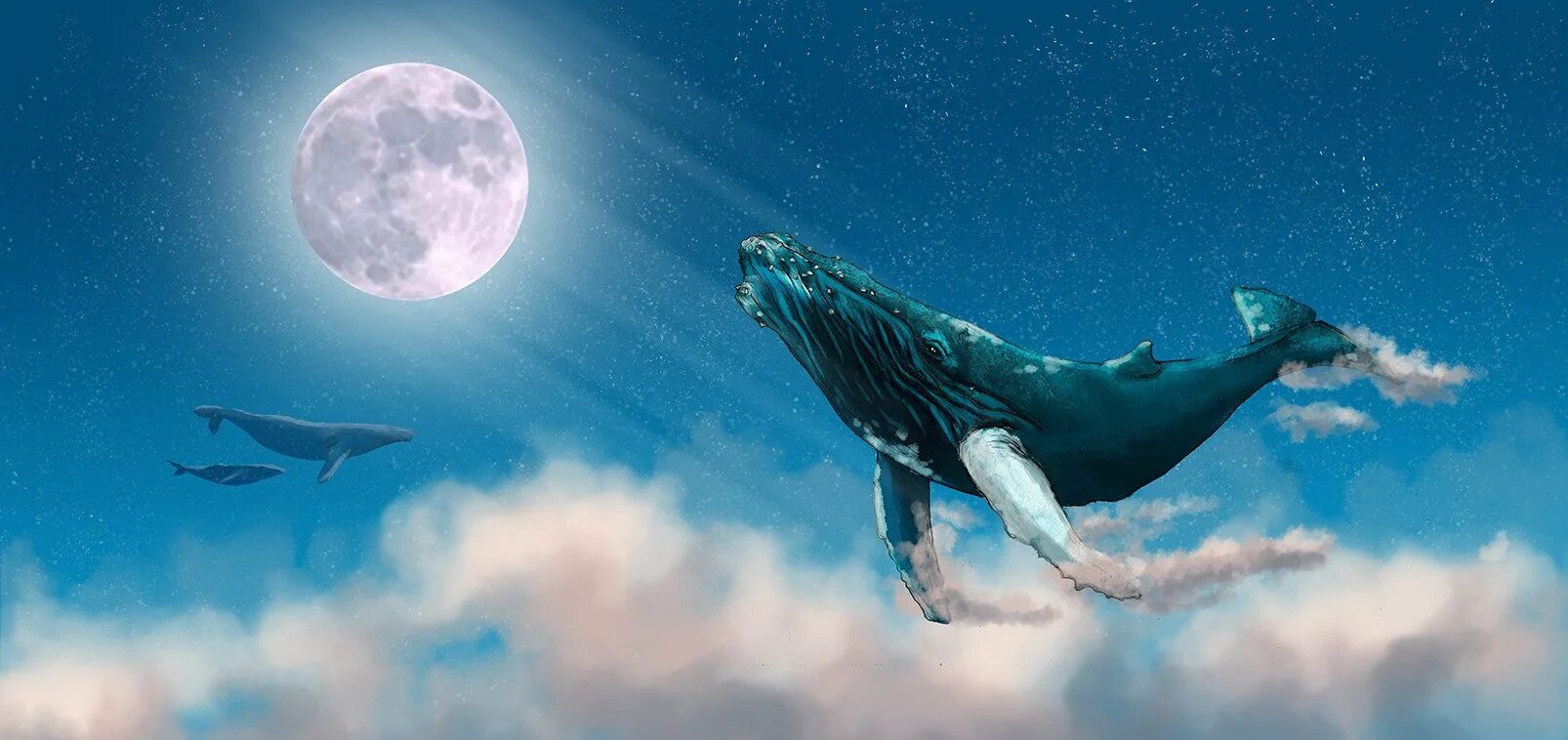 Кит арт. Левиафан небесный кит. небесный кит геншин. киты в небе. летающий кит.