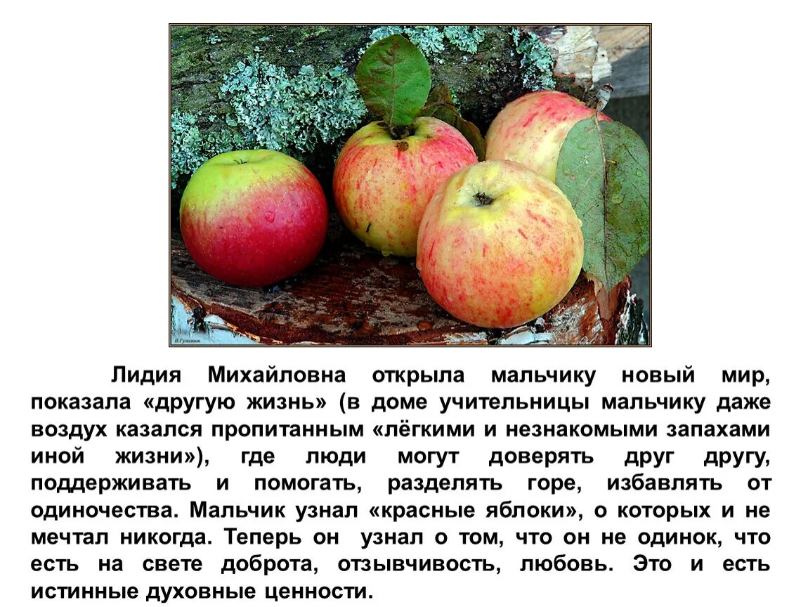 Уроки французского письмо Лидии Михайловне. Письмо Лидии Михайловне. Нравственные уроки лидии михайловны