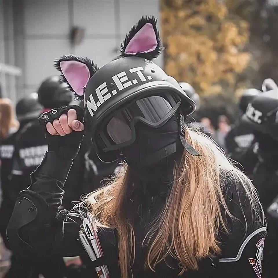 N e t c