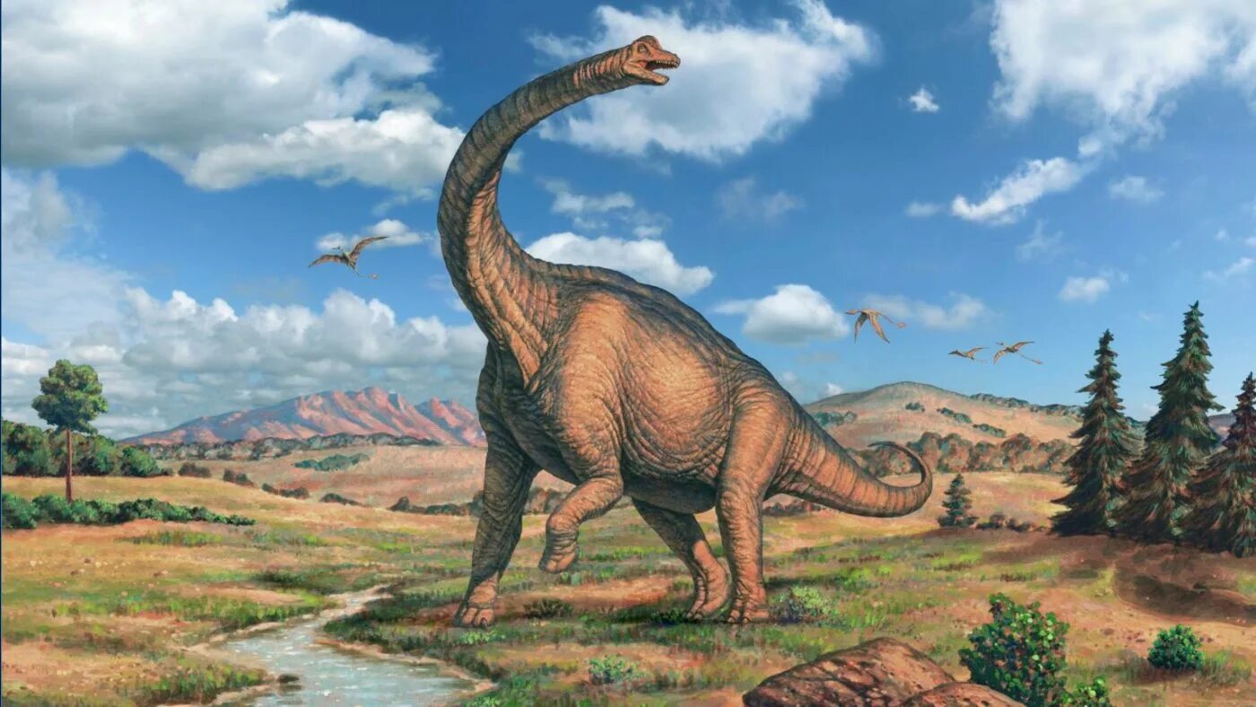 Какой 1 динозавр. Юрский период Брахиозавр. Брахиозавр динозавры Юрского периода. Бронтозавр Брахиозавр. Динозавр плахитиозавр.
