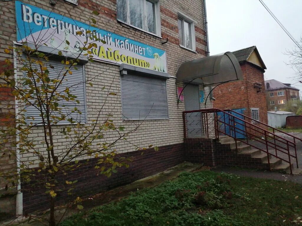 ветлечебница сафоново. ветклиника вывеска. ветеринарная клиника багира астрахань. медицинские центры в сафоново. айболит новомосковск ветеринарная клиника.