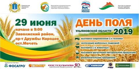 Речь на день поля