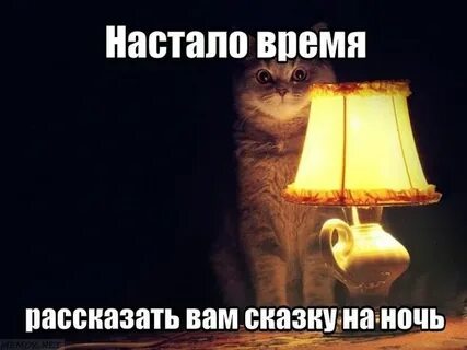 Настало время отправляться
