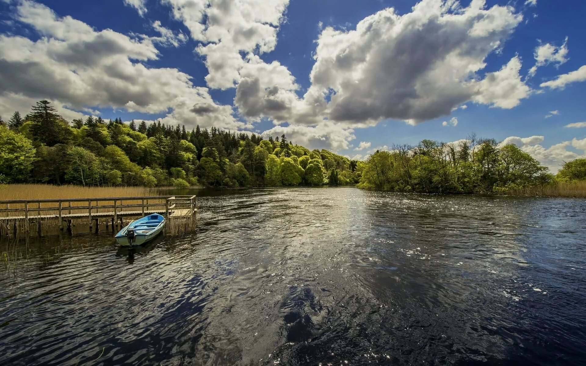 Салби (река). Река Солотча фото. Речной пейзаж. Солотча извилистая река