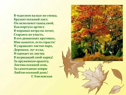Тома листья текст