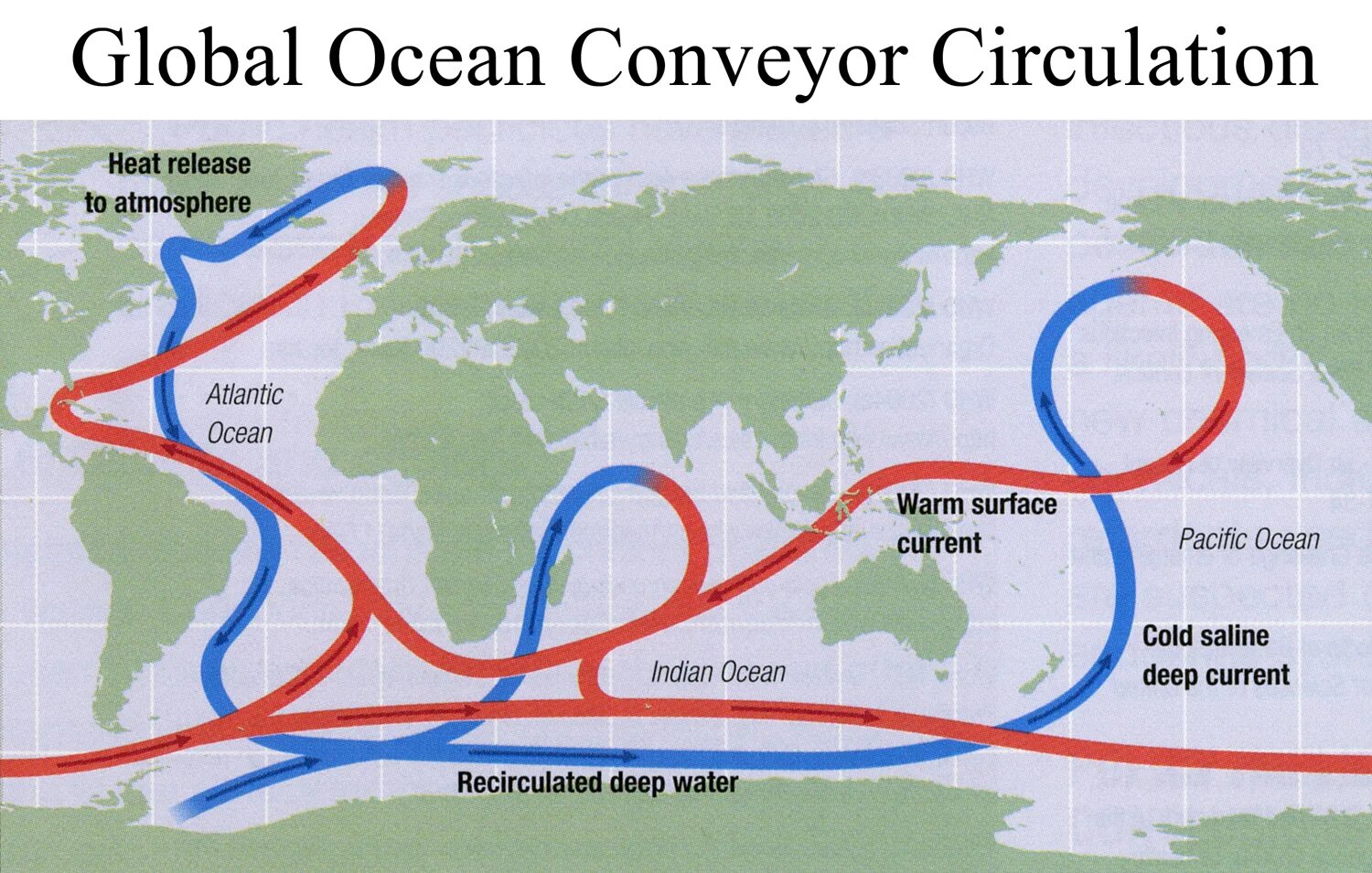 Самое мощное течение в мире. Глобальная циркуляция вод мирового океана. Течение Гольфстрим на карте. Термохалинная циркуляция. Глобальная термохалинная циркуляция.