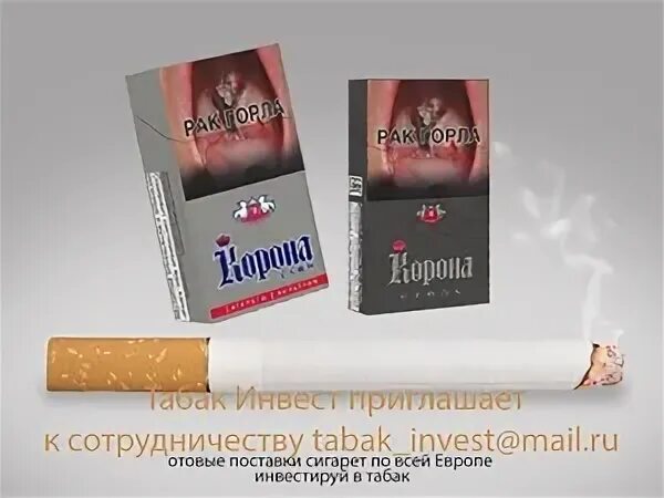 Табак-Инвест сигареты. Табак Инвест ассортимент. ООО табак Инвест. Производитель "табак Инвест".