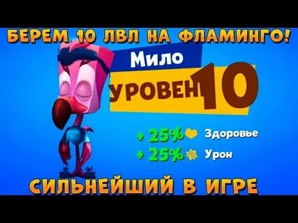 Мил 10 1