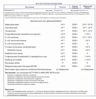 Стафилококк в кишечнике у взрослого симптомы