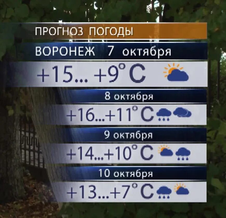 Погода в Воронеже. Прогноз погоды в Воронеже на 10. Какая погода в Воронеже. Прогноз погоды в Воронеже на 10 дней.